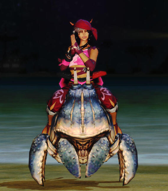 Baracca/Holly! Thank you!